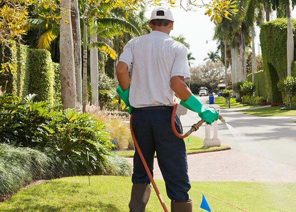 About Manly IA Pest Control